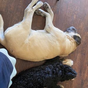 Meet your Posher, Christi